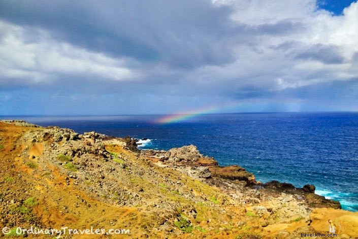 8 Compelling Reasons to Visit Maui, Hawaii: Insider Tips from Repeat Travelers