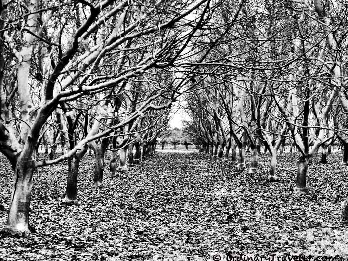 Epic Instagram-Worthy Road Trip: Northern California and Las Vegas Itinerary