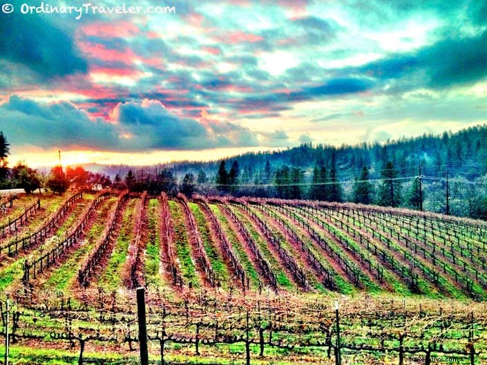 Epic Instagram-Worthy Road Trip: Northern California and Las Vegas Itinerary