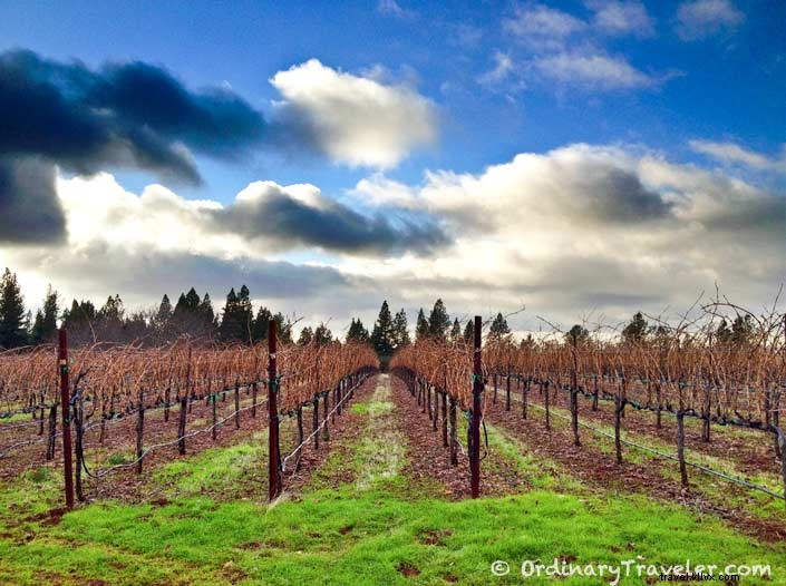 Epic Instagram-Worthy Road Trip: Northern California and Las Vegas Itinerary