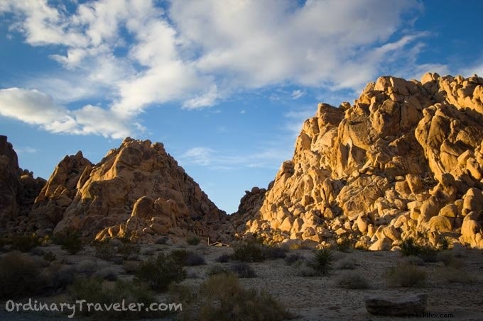 Joshua Tree National Park: Stunning Day-to-Night Photos After the Storm