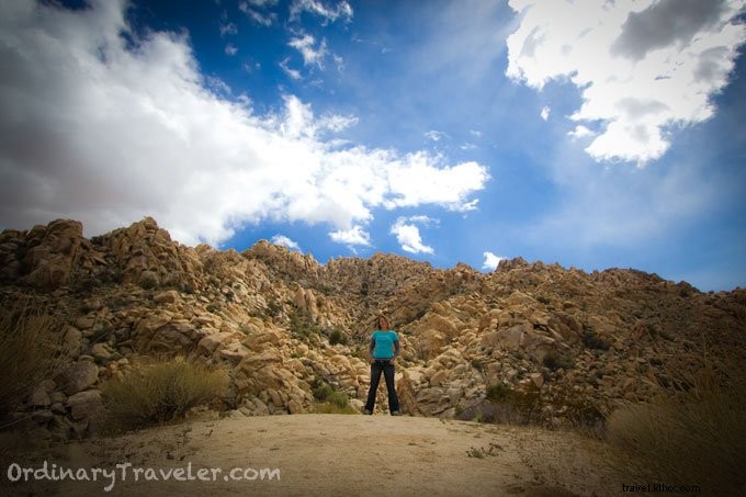 Camping at Indian Cove Campground in Joshua Tree: Weather Challenges and Real Adventures