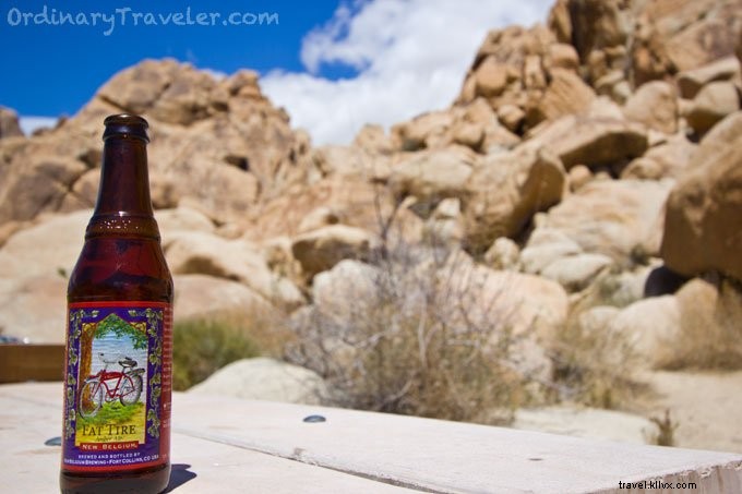 Camping at Indian Cove Campground in Joshua Tree: Weather Challenges and Real Adventures