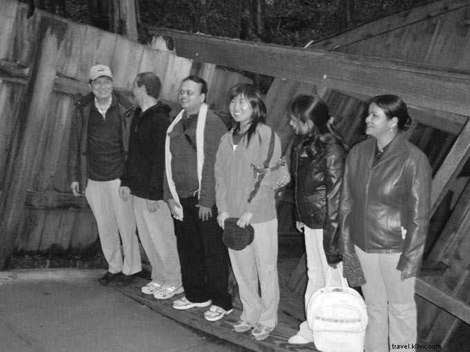 Discover the Mind-Bending Mystery Spot in Santa Cruz, California