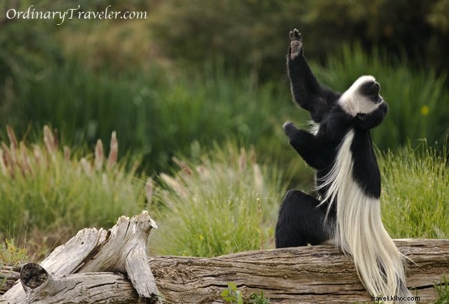 7 Super Shots: Our Standout Entries in Hostel Bookers  Photo Competition