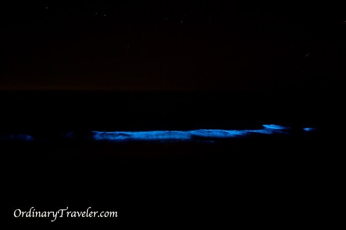 San Diego s Red Tide Magic: Captivating Bioluminescence Illuminates Night Waves