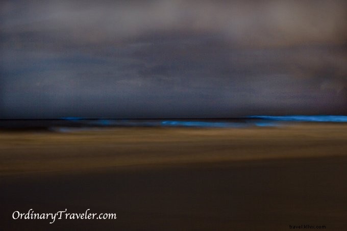 San Diego s Red Tide Magic: Captivating Bioluminescence Illuminates Night Waves