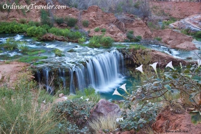 12 Breathtaking Havasu Falls Photos from Our Personal Adventure
