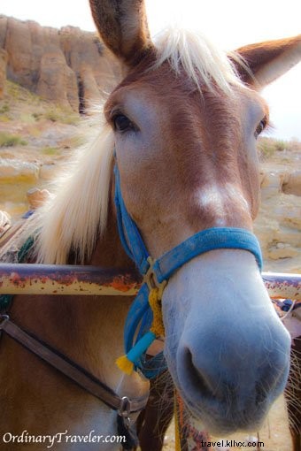 12 Breathtaking Havasu Falls Photos from Our Personal Adventure