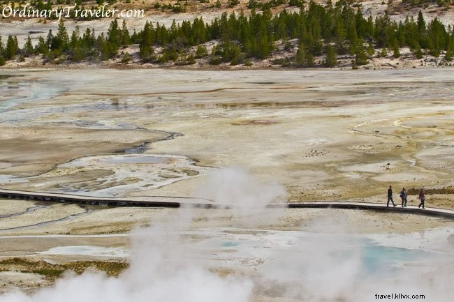 Stunning Geyser Photos from Yellowstone National Park: Eruption Secrets and Viewing Tips
