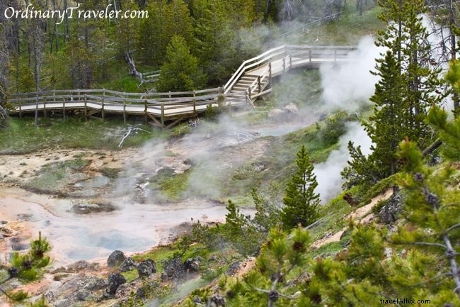 Stunning Geyser Photos from Yellowstone National Park: Eruption Secrets and Viewing Tips