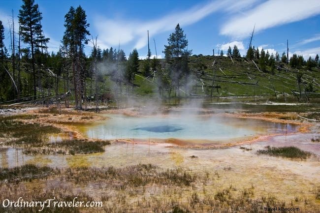 Stunning Geyser Photos from Yellowstone National Park: Eruption Secrets and Viewing Tips