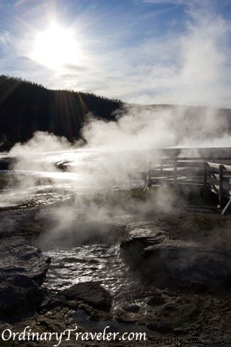 Stunning Geyser Photos from Yellowstone National Park: Eruption Secrets and Viewing Tips