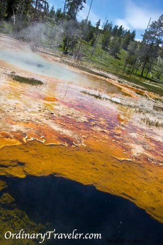 Stunning Geyser Photos from Yellowstone National Park: Eruption Secrets and Viewing Tips