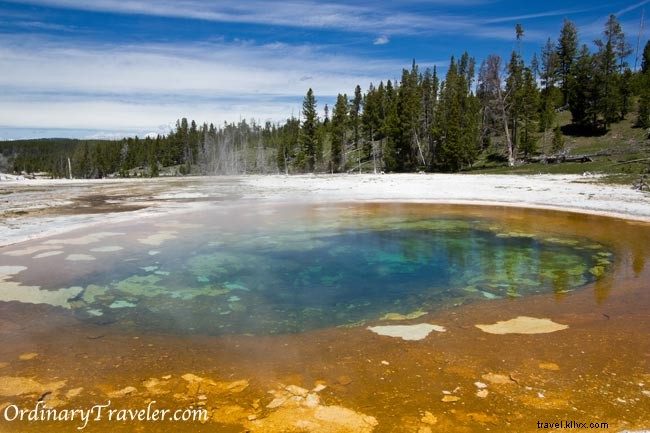 Stunning Geyser Photos from Yellowstone National Park: Eruption Secrets and Viewing Tips