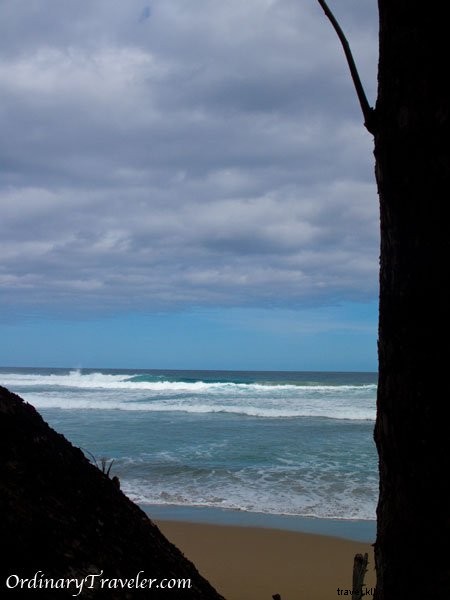 Ali s Surf Camp Review: Authentic Surfing Experience in Cabarete, Dominican Republic