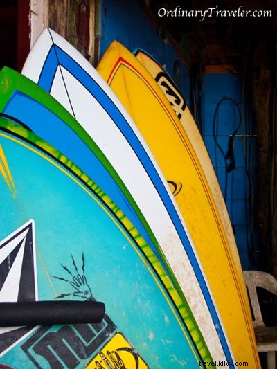 Ali s Surf Camp Review: Authentic Surfing Experience in Cabarete, Dominican Republic