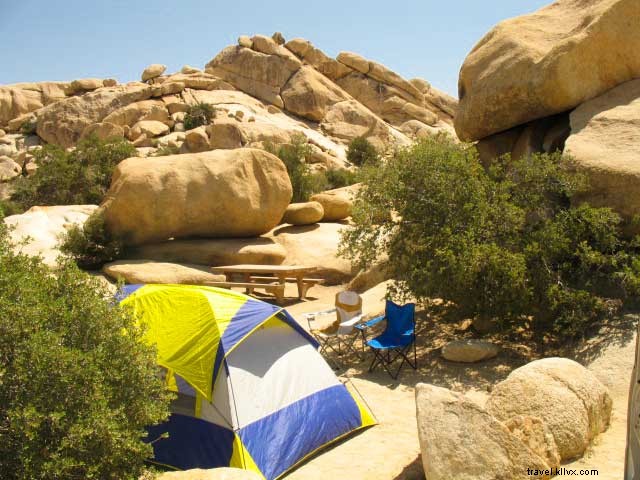 Heart-Stopping Rattlesnake Encounter: Our Close Call in Joshua Tree National Park