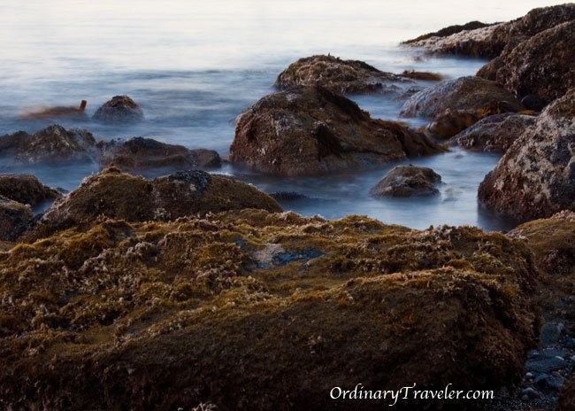 Stunning Catalina Island Photos: Inspiration from Our Two Harbors Adventure