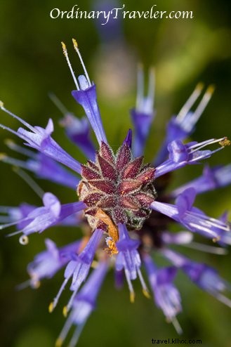 Devil s Punch Bowl at Cedar Creek Falls: Essential Hiking Tips for San Diego s Premier Waterfall