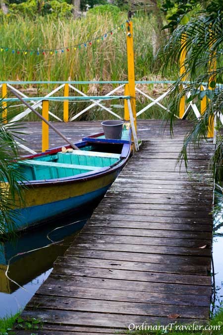 An Unforgettable Christmas at Ali s Surf Camp in Cabarete, Dominican Republic