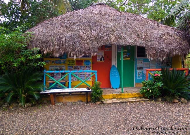 An Unforgettable Christmas at Ali s Surf Camp in Cabarete, Dominican Republic