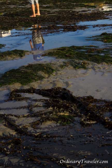 Reflecting on an Epic 2010: Adventures, Milestones, and 2011 Travel Plans