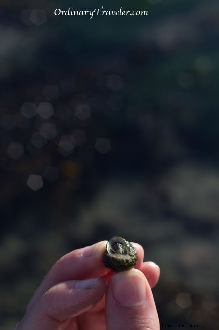 Reflecting on an Epic 2010: Adventures, Milestones, and 2011 Travel Plans