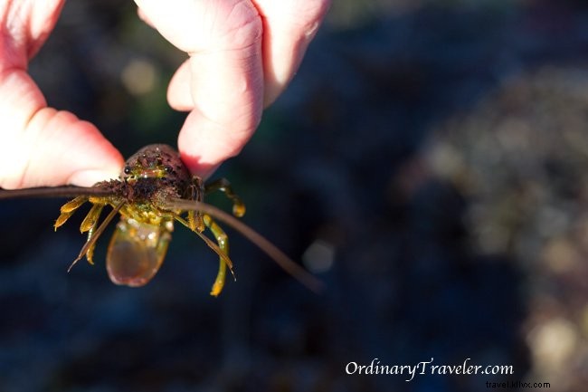 Reflecting on an Epic 2010: Adventures, Milestones, and 2011 Travel Plans