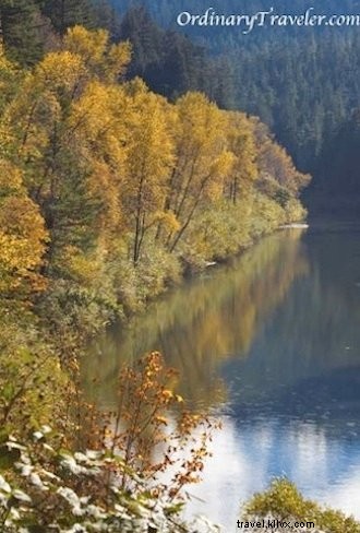 Discover Humboldt County: Majestic Redwoods, Coastal Gems, and a Lucky $420 Casino Win