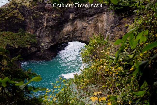 Discover Humboldt County: Majestic Redwoods, Coastal Gems, and a Lucky $420 Casino Win