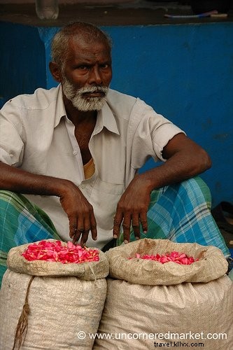 Exclusive Interview: Travel Photographers Audrey Scott and Daniel Noll of Uncornered Market