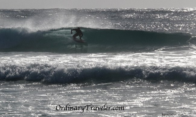 Budget Surf Trip Guide: East Coast Australia from Sydney to Brisbane