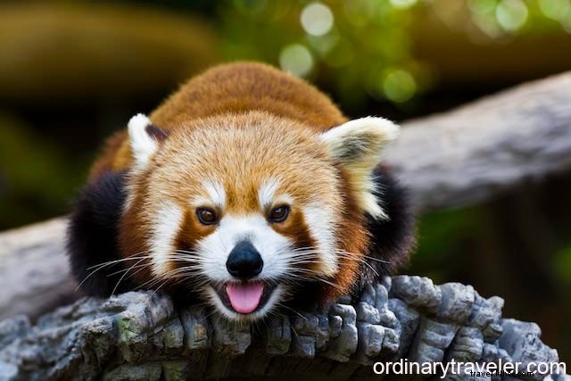 Budget Surf Trip Guide: East Coast Australia from Sydney to Brisbane