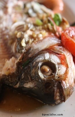 Northern Vietnam Travel Guide: Essential Tips for Hanoi, Ha Long Bay, and Cat Ba Island