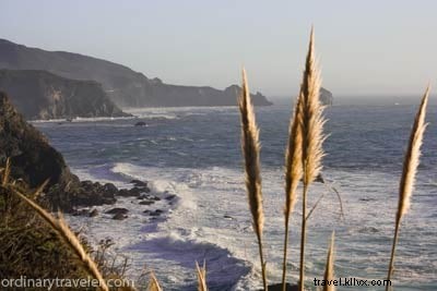 Ultimate Big Sur Road Trip Guide: Must-See Sights, Hikes & Camping on California s Highway 1