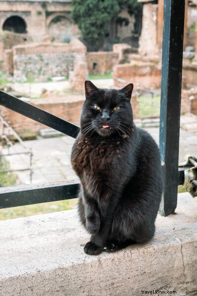 25 Must-See Things to Do in Rome, Italy: Ultimate Guide to the Eternal City