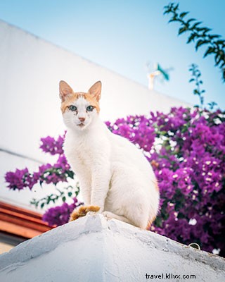 Top 25 Must‑Do Experiences in Athens, Greece’s Timeless Capital