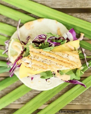 Top 25 Must‑Do Experiences in Key West, Florida