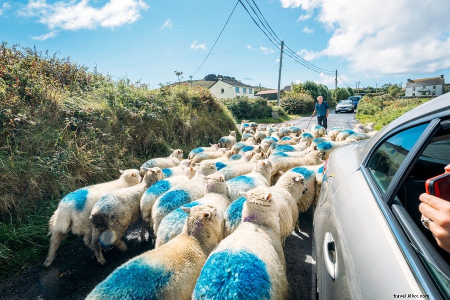 Ultimate Guide to Renting a Car in Europe: Expert Tips for Safe and Affordable Road Trips