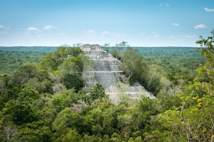 Ultimate Guide to Calakmul: Mexico s Hidden Mayan Ruins in Campeche