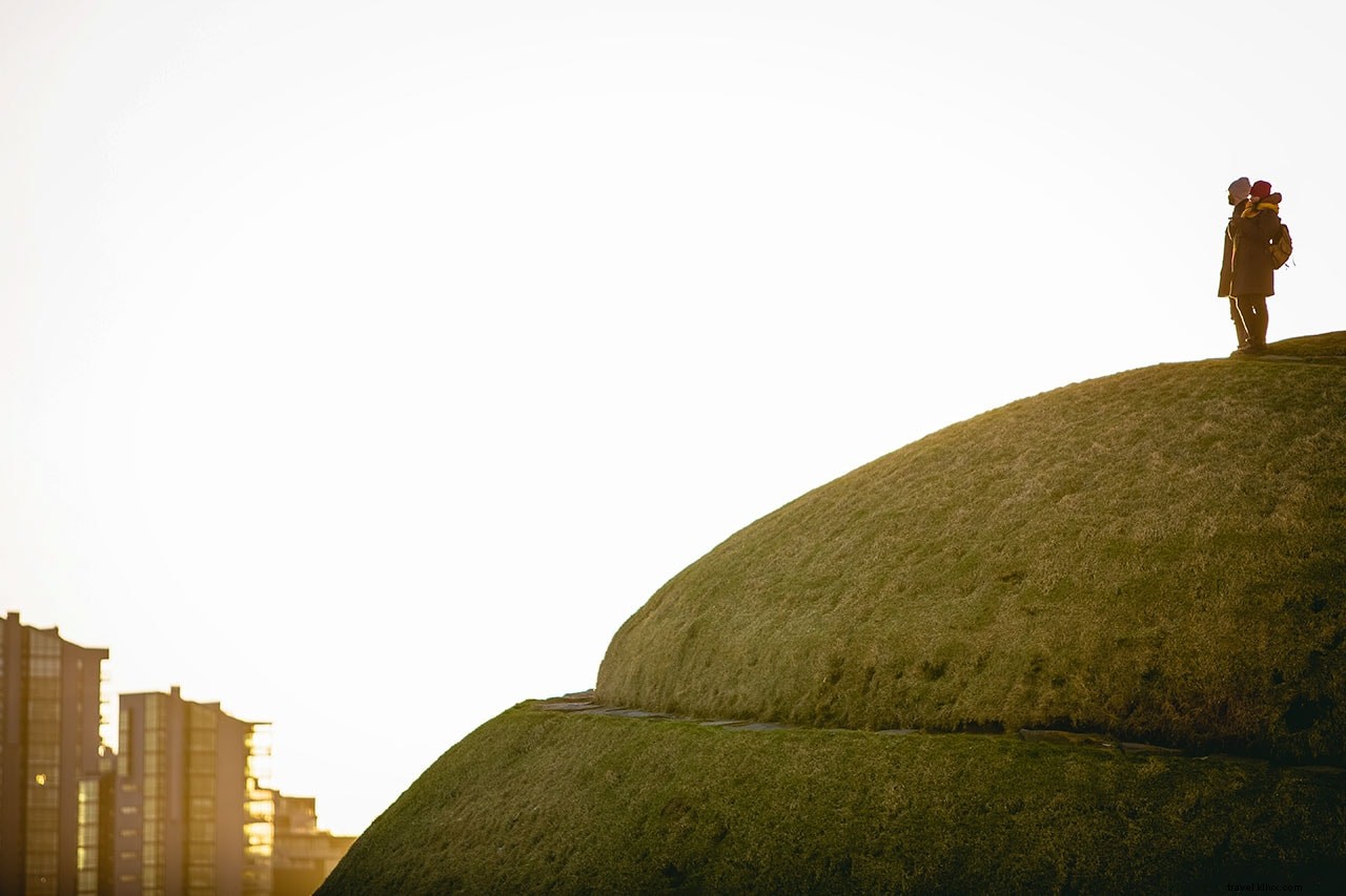 25 Best Things to Do in Reykjavík, Iceland: Insider Tips from a Local Expert