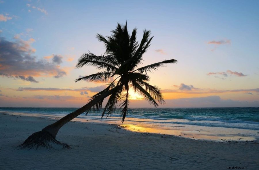 25 Must‑Do Activities in Playa del Carmen, Mexico