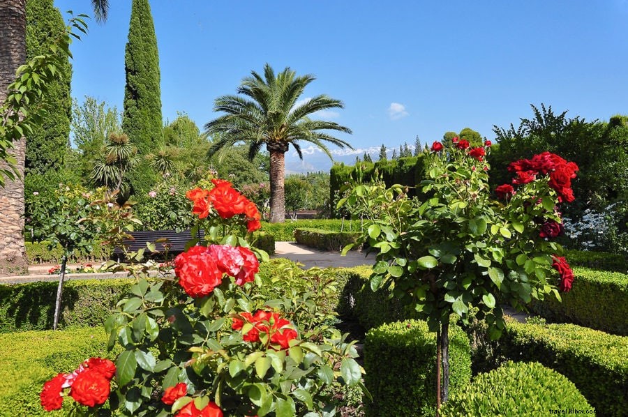 Granada Unveiled: 20 Must-See Experiences for Travelers