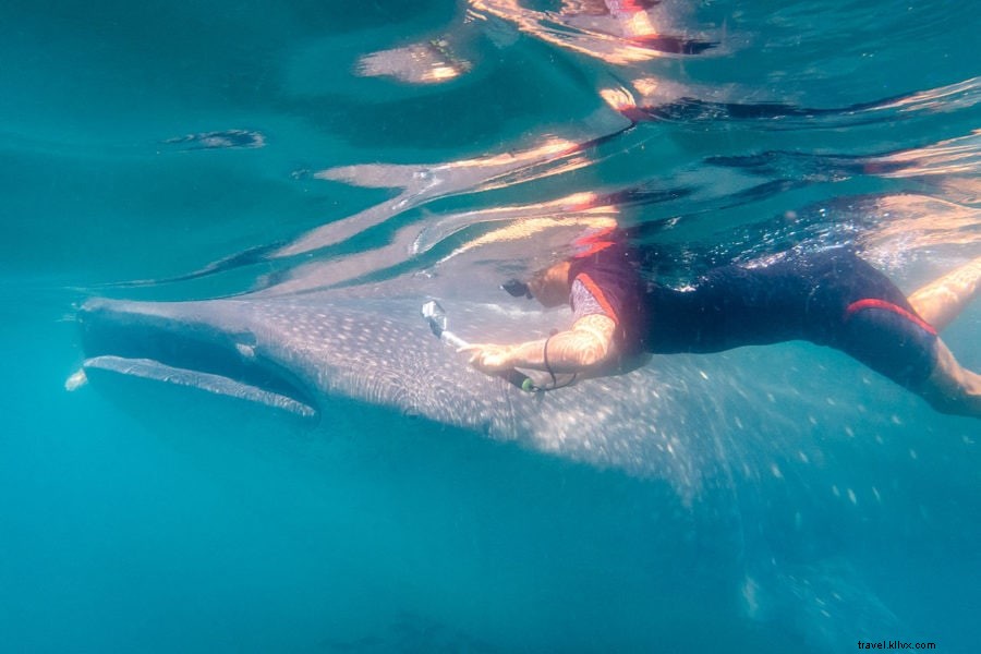 30 Best Things to Do in Cancun: Ultimate Guide to Mexico s Yucatan Gateway