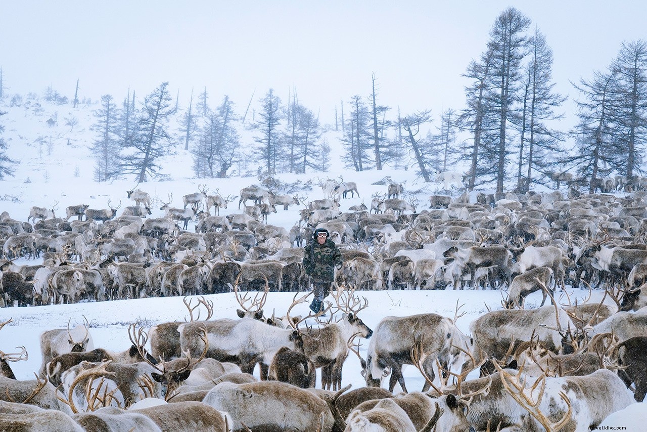 Wild Kamchatka Adventure: Meeting Russia s Nomadic Even Reindeer Herders