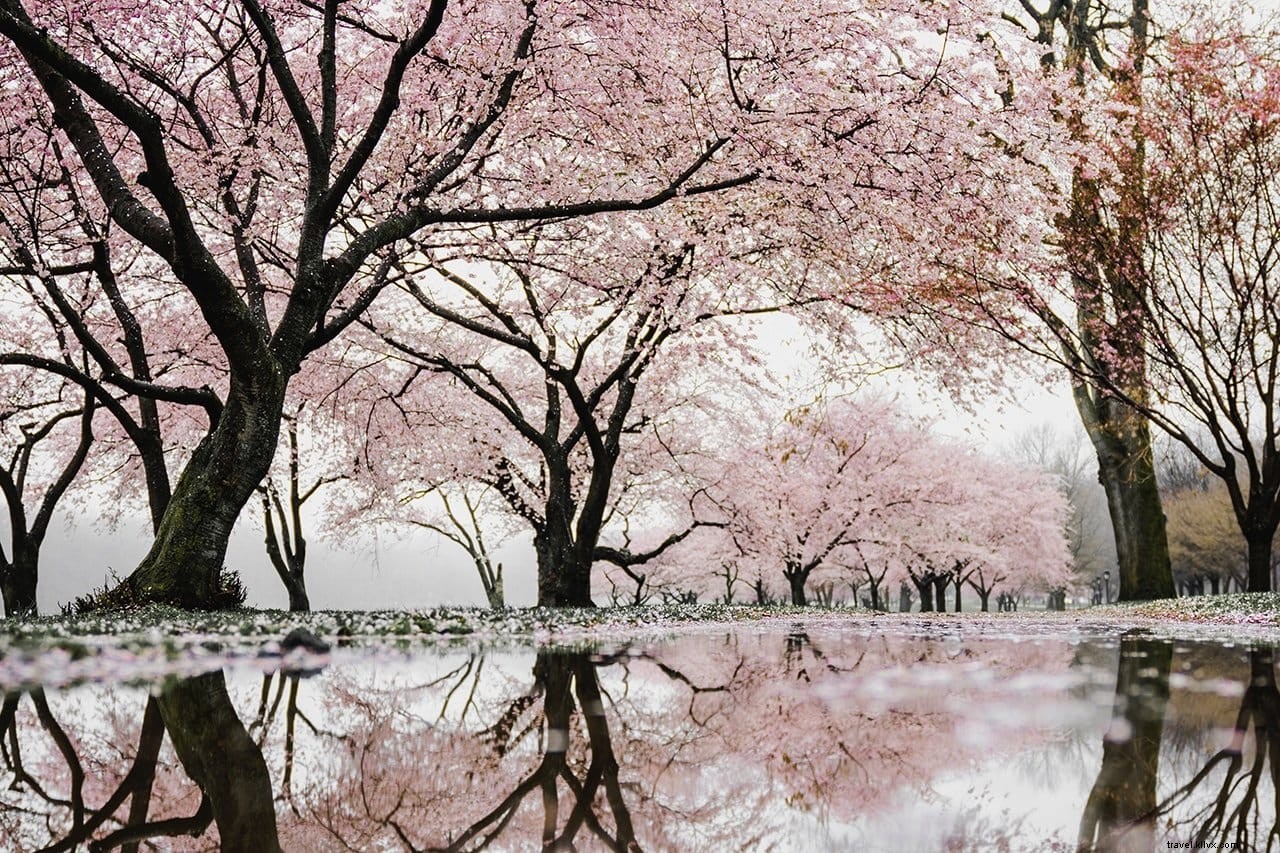 25 Best Things to Do in Edinburgh: Discover Scotland s Historic Capital