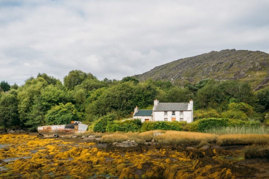 How to Claim Irish Citizenship by Descent: A Step-by-Step Guide for Americans