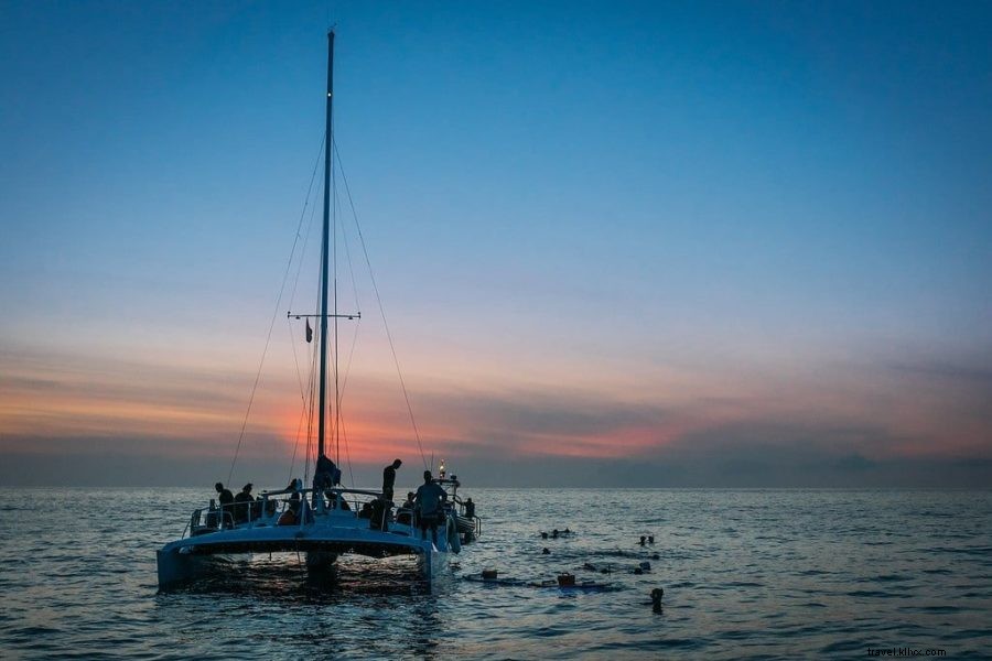 10 Best Things to Do on Hawaii s Big Island: Expert 5-Day Travel Itinerary