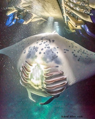 10 Best Things to Do on Hawaii s Big Island: Expert 5-Day Travel Itinerary